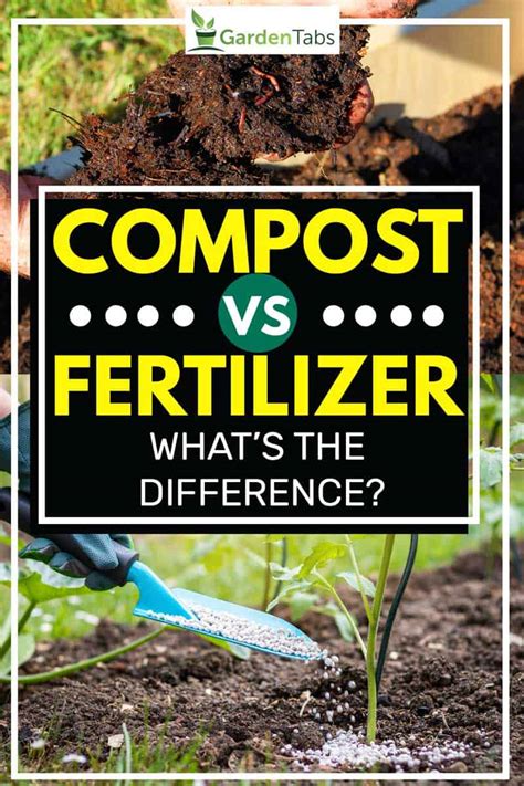 Compost vs. Fertilizer: The 411 You Need to Know