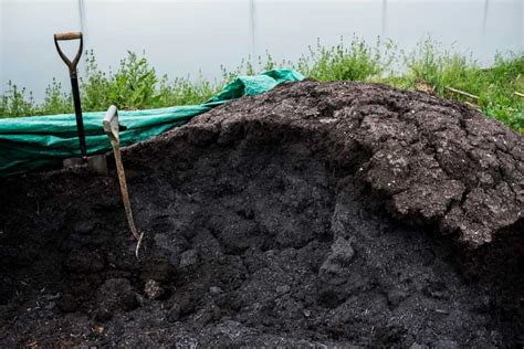 Composting: A Solution to Manure Disposal Woes