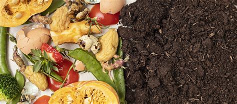 Composting Facilities Frequently Asked Questions And Answers Doc