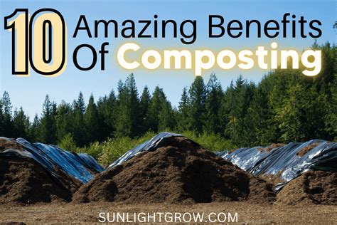 Composting Granulator: 10 Amazing Benefits for Your Soil and Plants