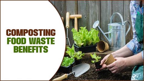 Composting Granulator: 5 Key Benefits for Boosting Your Waste Management