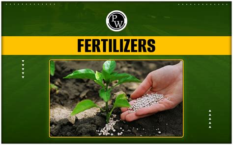 Compound Fertilizers and Their Importance