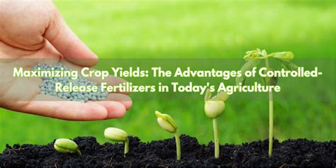 Compound S Fertilizer: The Ultimate Guide to Maximizing Crop Yield