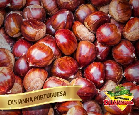 Comprar Castanha Portuguesa: Guia Completo para Empreendedores e Consumidores