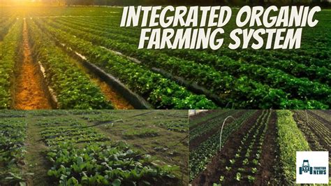 Comprehensive Farming System: