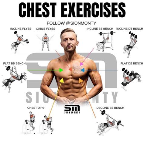 Comprehensive Guide to Chest Exercises: Build a Powerful and Defined Chest