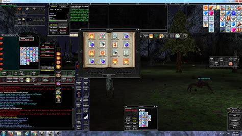 Comprehensive Guide to EverQuest Macros for Two Boxing: Enhancing Your Gameplay