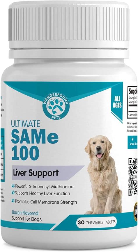 Comprehensive Guide to Liver Support for Dogs: Maintaining Optimal Hepatic Health