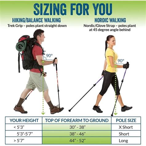 Comprehensive Guide to Utilizing Flat-Tip Trekking Poles for Optimal Performance