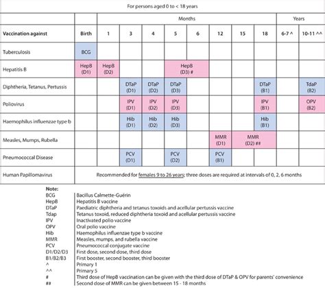 Comprehensive Guide to Vaccination Records in Singapore