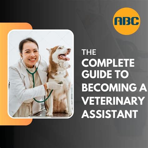 Comprehensive Guide to Veterinary Courses in Singapore: A Pathway to Animal Care