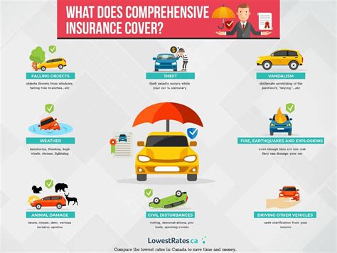 Comprehensive Insurance Definition for Your 10,000 Character Guide