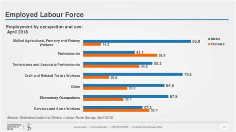 Comprehensive Labour Force Survey: A Comprehensive Guide