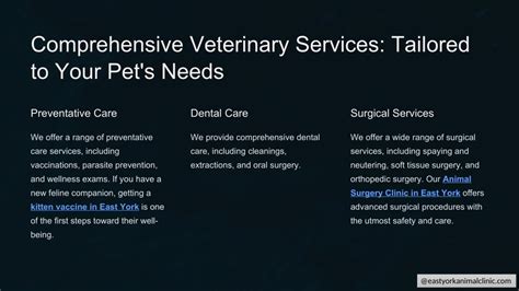 Comprehensive Veterinary Care Tailored to Your Pet's Unique Needs