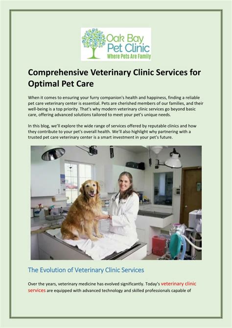 Comprehensive Veterinary Services for All Pet Needs