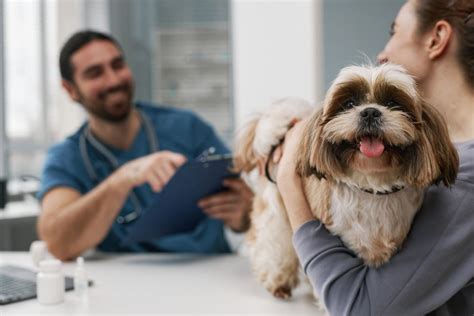 Comprehensive Veterinary Services for Every Pet's Needs