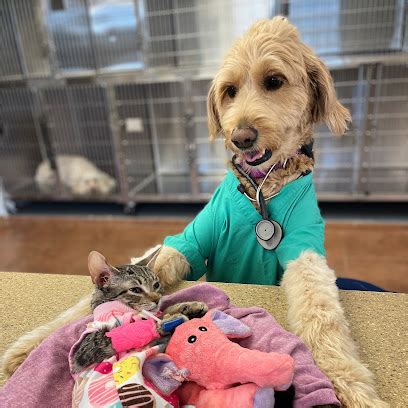 Comprehensive Veterinary Services for Your Furry Friends
