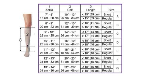 Compression Stocking Measurement Chart: Ultimate Guide to Perfect Fit