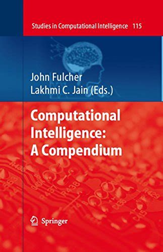 Computational Intelligence A Compendium PDF