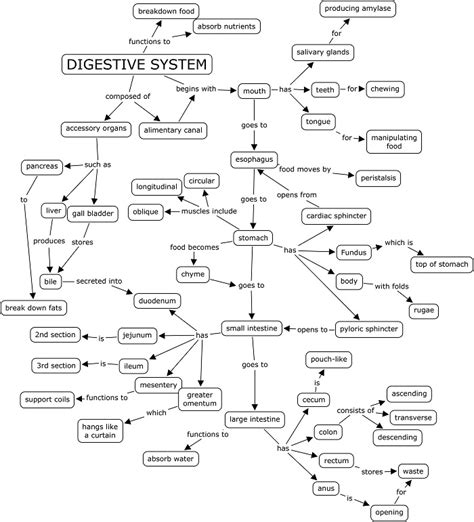 Concept Map Digestive System Life Science Book B Answers Epub