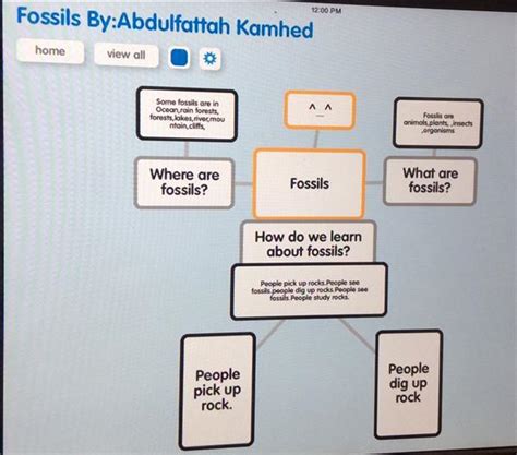 Concept Map Fossil Answers Doc