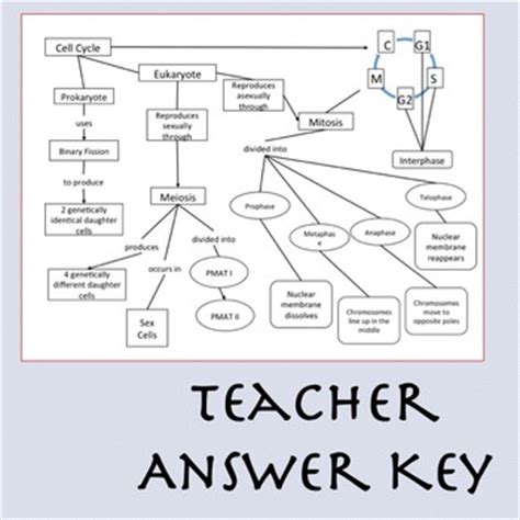 Concept Mapping Chapter 9 The Cell Cycle Answers Kindle Editon