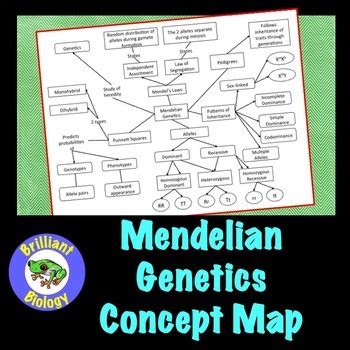 Concept Mapping Mendel And Heredity Answers Reader