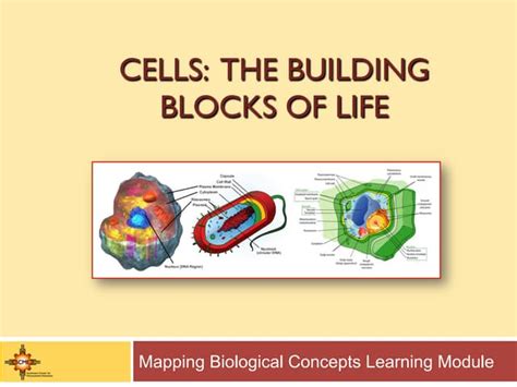 Concept Review Building Blocks Compounds Cells Answers PDF