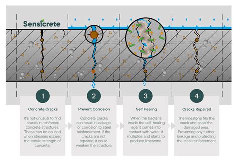 Concept of "Self-Healing Concrete":