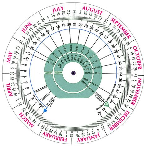 Conception To Birth Chart