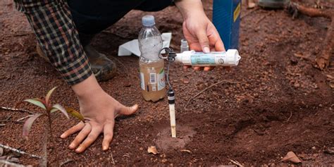 Conduct Soil Testing: