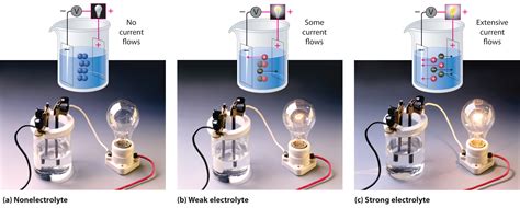 Conductive When Dissolved in Water: A Comprehensive Guide to Electrolyte Solutions