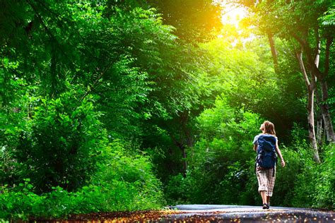 Conexão com a natureza: