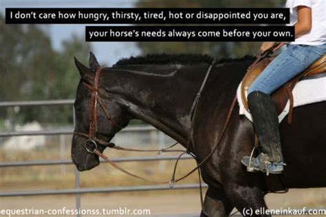 Confessions of a Horse Coper Reader