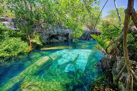 Conheça o Cenote Kil, uma Maravilha Natural do México