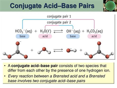 Conjugate Acid Base Pair Answers Kindle Editon