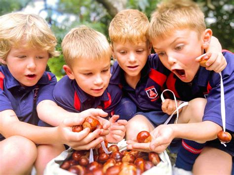 Conkers: An Autumnal Tradition