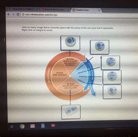 Connect Biology Answers PDF