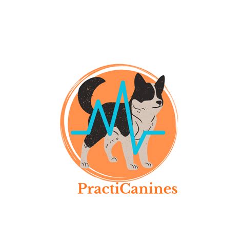 Connect Centre Pte Ltd: The Dog Training Experts Empowering Canines and Their Humans