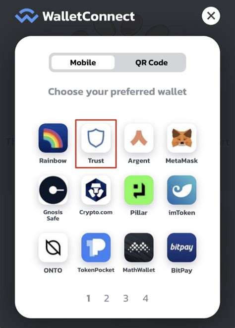 Connect Your Wallet: