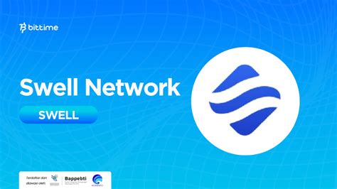 Connect and Thrive: Exploring the Power of Swell Network