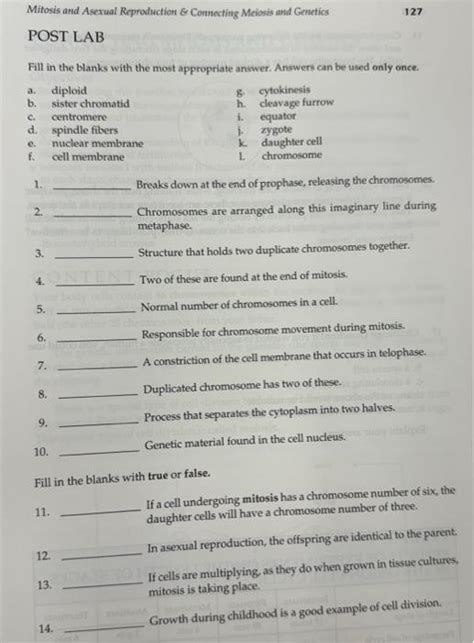 Connecting Meiosis And Genetics Lab Answers PDF