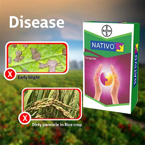 Conquer Crop Disease: How Nativo Fungicide Can Be Your Farm's Secret Weapon