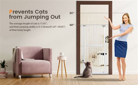 Conquer Heights: An In-Depth Guide to Scaling Indoor Cat Gates to 72 Inches