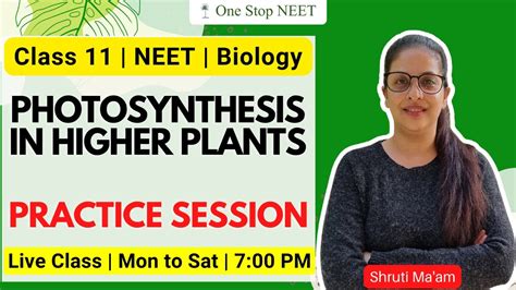 Conquer NEET with Powerful Photosynthesis in Higher Plants Practice!