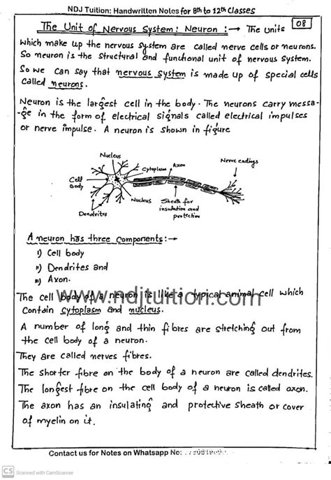 Conquer Science Class 10 with Powerful Handwritten Notes: A Game-Changer for Exam Success!