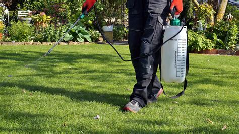 Conquer Weeds and Nourish Your Lawn with this Dynamic Duo