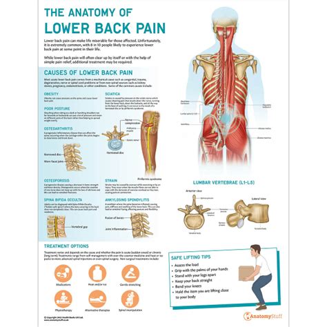 Conquer Your Lower Back Pain: A Comprehensive Guide for Runners