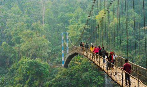 Conquer Your Meghalaya Trip with a Breezy Meghalaya COVID Registration!