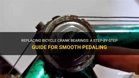 Conquer the Road with Seamless Pedaling: A Guide to Pedal Crank Bearings